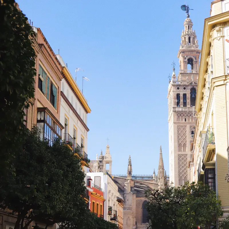 Calle del centro de Sevilla con naranjos y fachadas de balcones, y la Giralda y la catedral al fondo